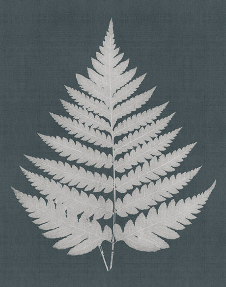 Brenford Fern II (Canvas)