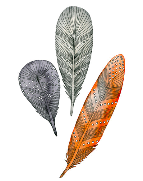 California Feather XII