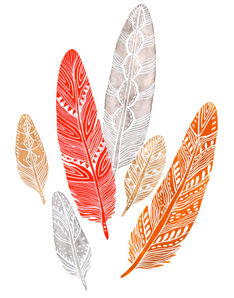 California Feather XV