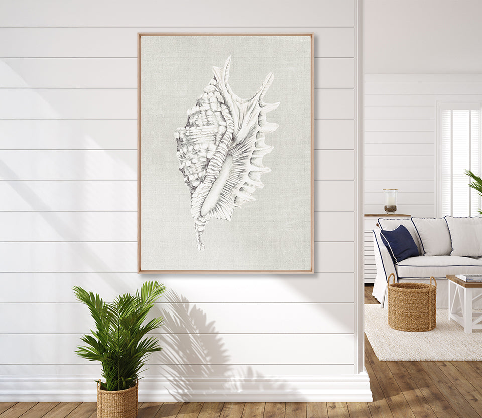 Shell on Linen IV (Canvas)