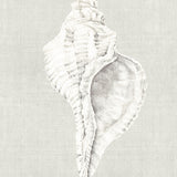calabria05-c_3