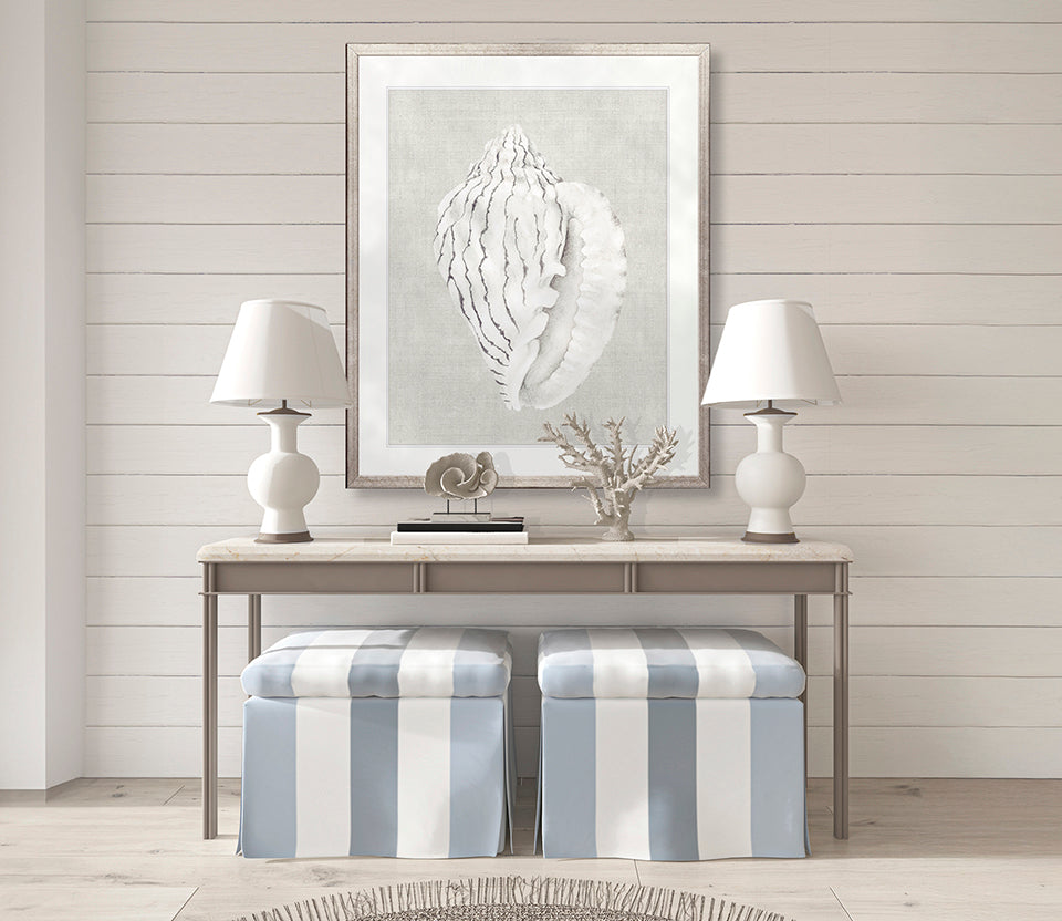 Shell on Linen VI