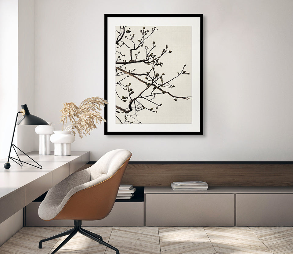 Canopy Silhouette I