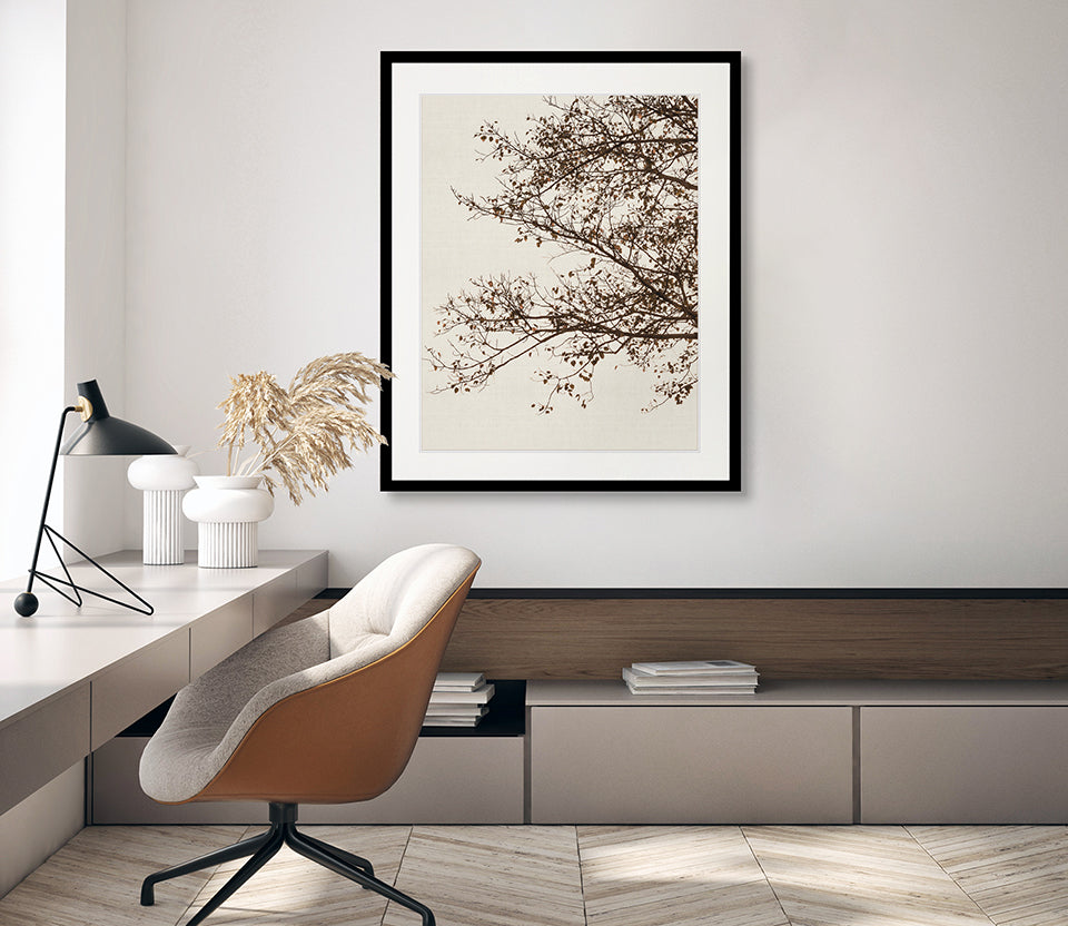 Canopy Silhouette V