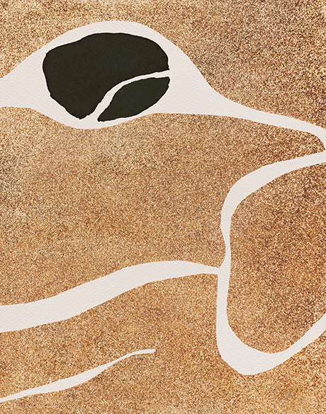 Canyon IV