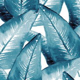 capel01-c_3