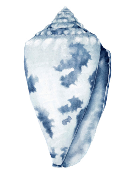 Exquisite Shell I (Indigo)