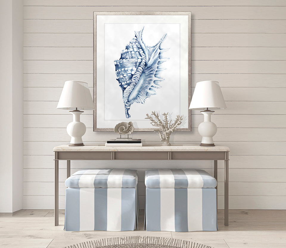 Exquisite Shell IV (Indigo)