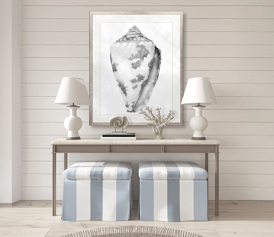 Exquisite Shell VII (Soft Grey)