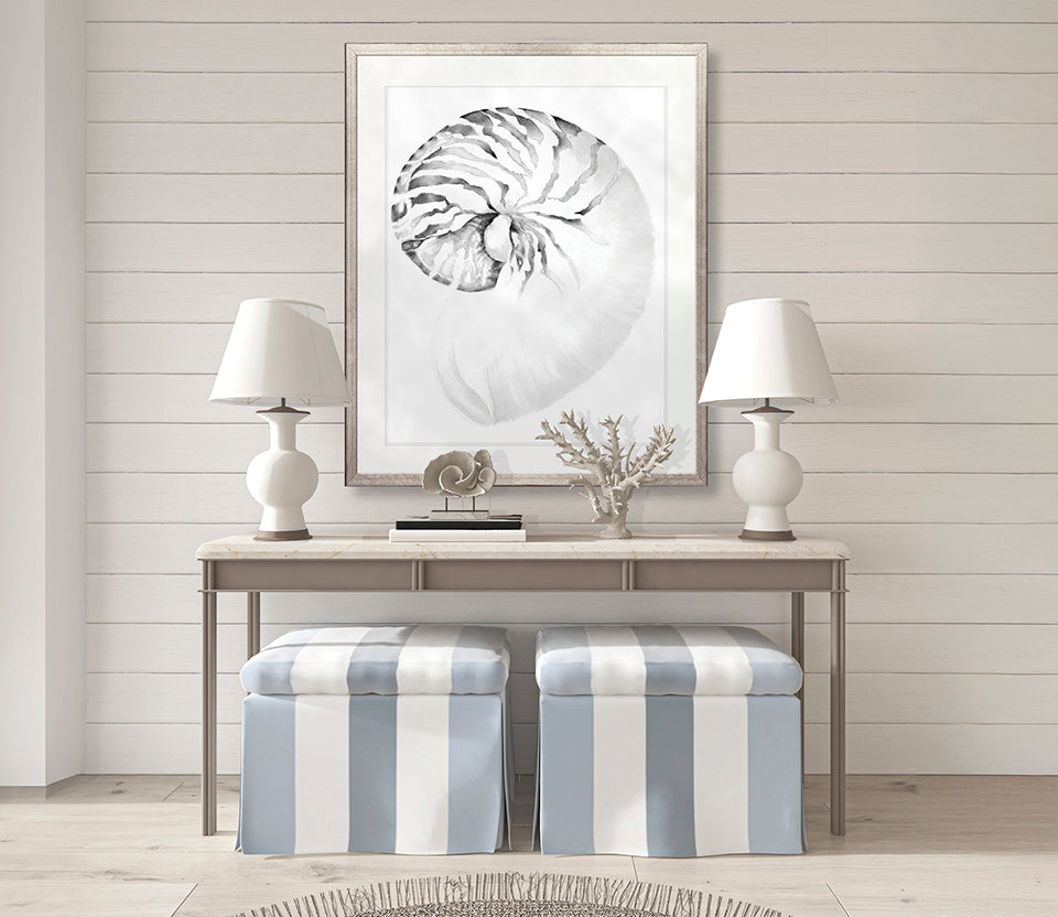 Exquisite Shell VIII (Soft Grey)