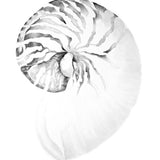 car08_3