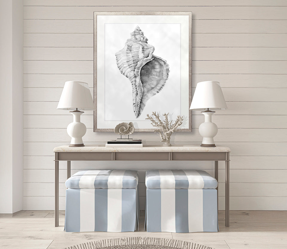 Exquisite Shell IX (Soft Grey)