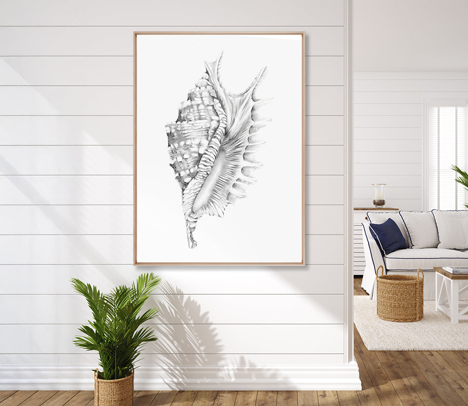 Exquisite Shell X (Soft Grey) (Canvas)