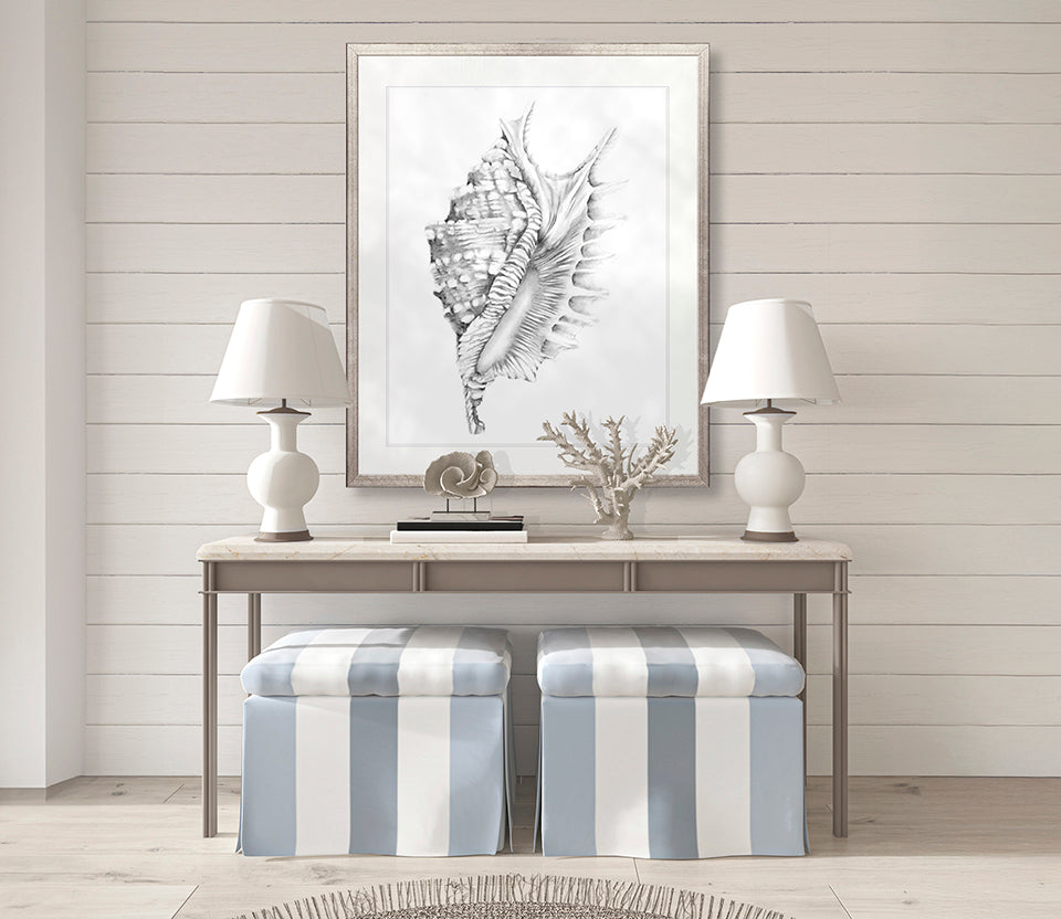 Exquisite Shell X (Soft Grey)