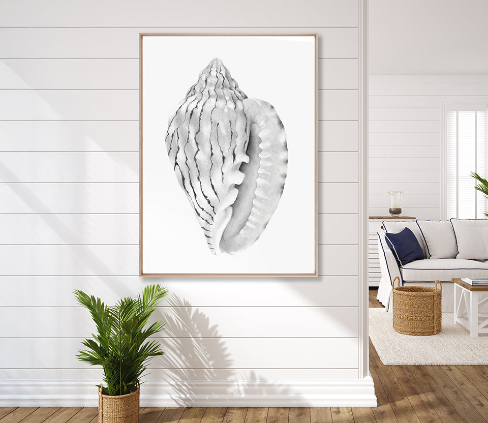 Exquisite Shell XI (Soft Grey) (Canvas)