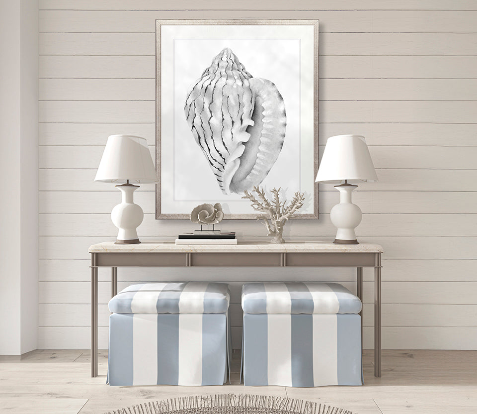 Exquisite Shell XI (Soft Grey)