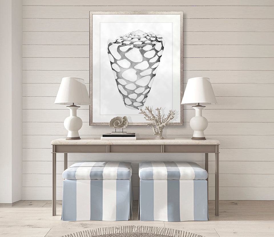 Exquisite Shell XII (Soft Grey)