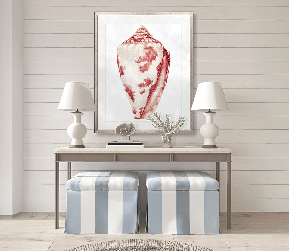 Exquisite Shell XIX