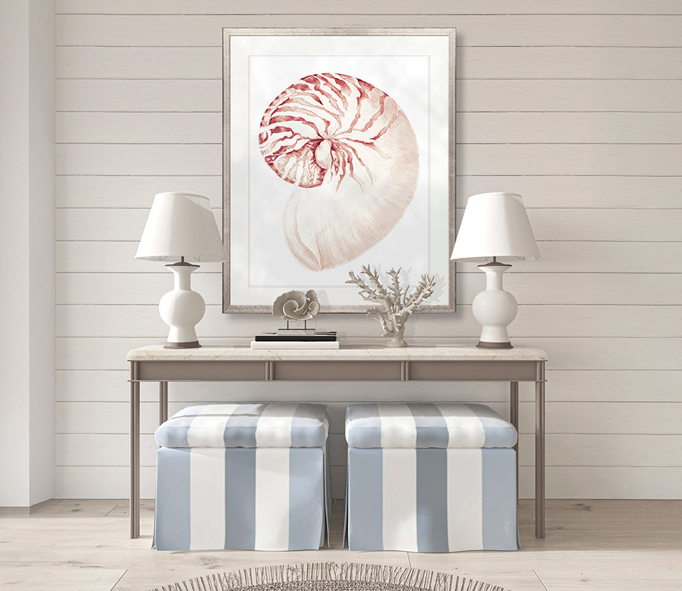Exquisite Shell XX