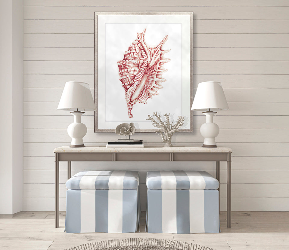 Exquisite Shell XXII