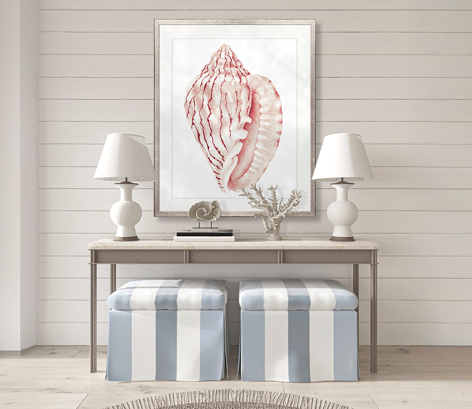 Exquisite Shell XXIII