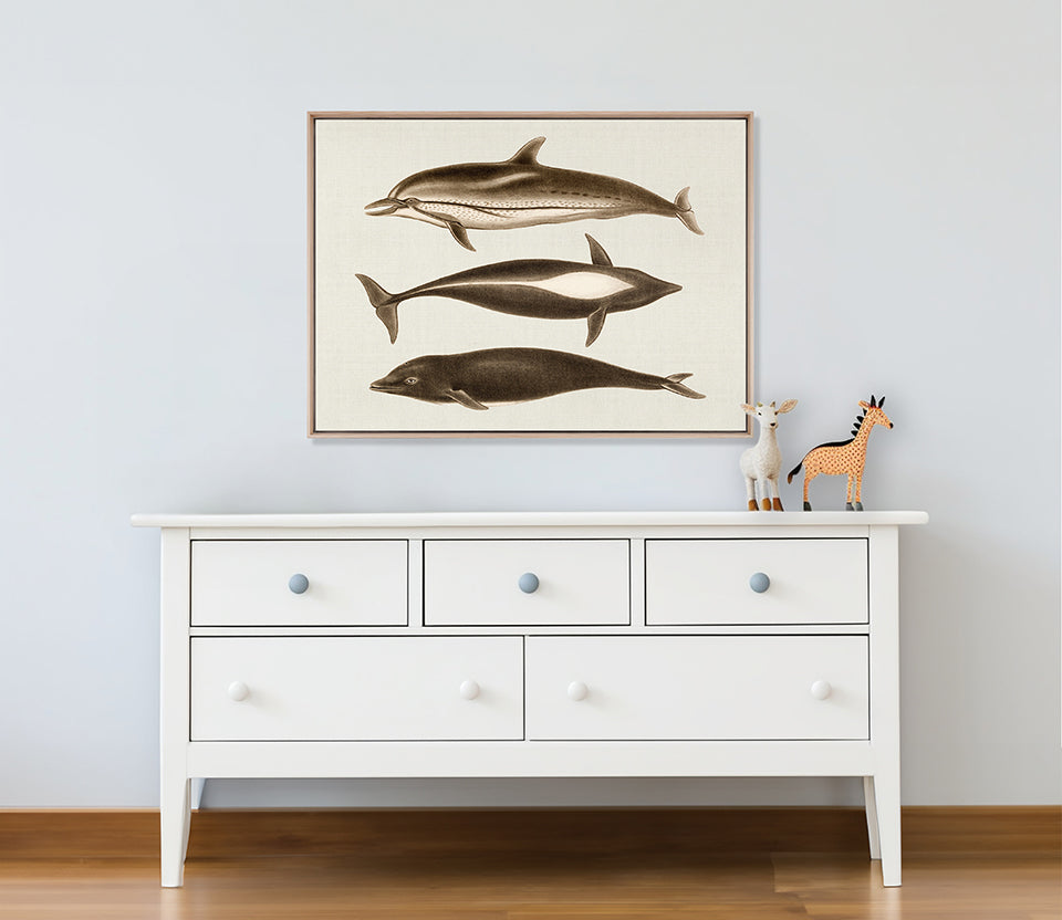Cassin Marine I (Canvas)