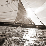 cc04-c-l_3