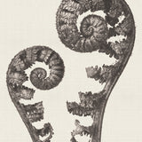 chartr07_3