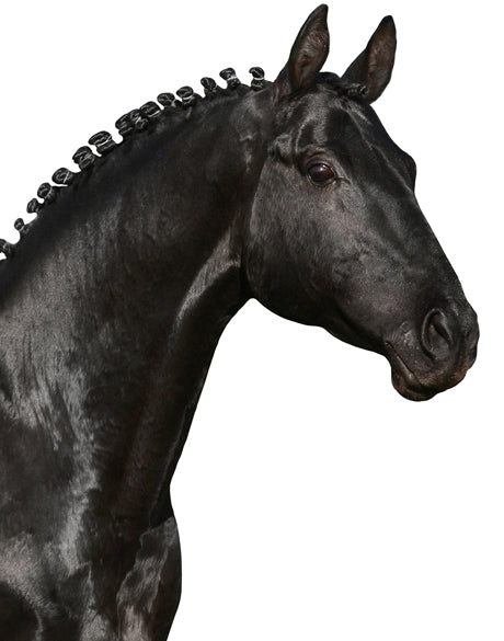 Majestic Thoroughbred IV (Canvas)