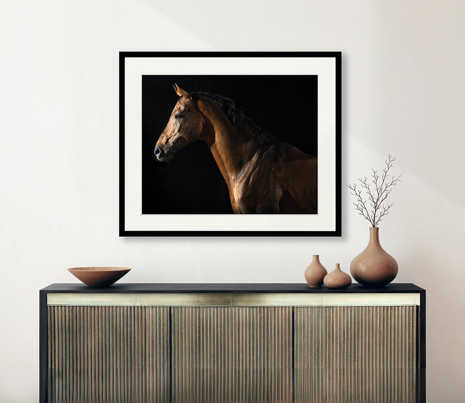 Majestic Thoroughbred VIII