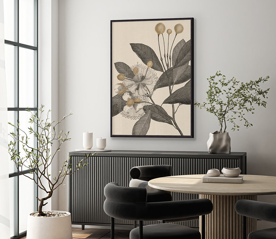 Cooks Floral Specimen III (Canvas)