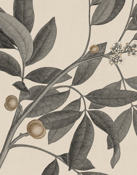 Cooks Floral Specimen IV (Canvas)