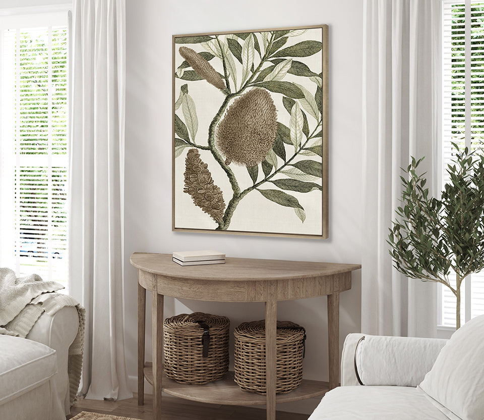 Integrifolia Specimen (Canvas)