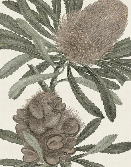Serreta Specimen (Canvas)