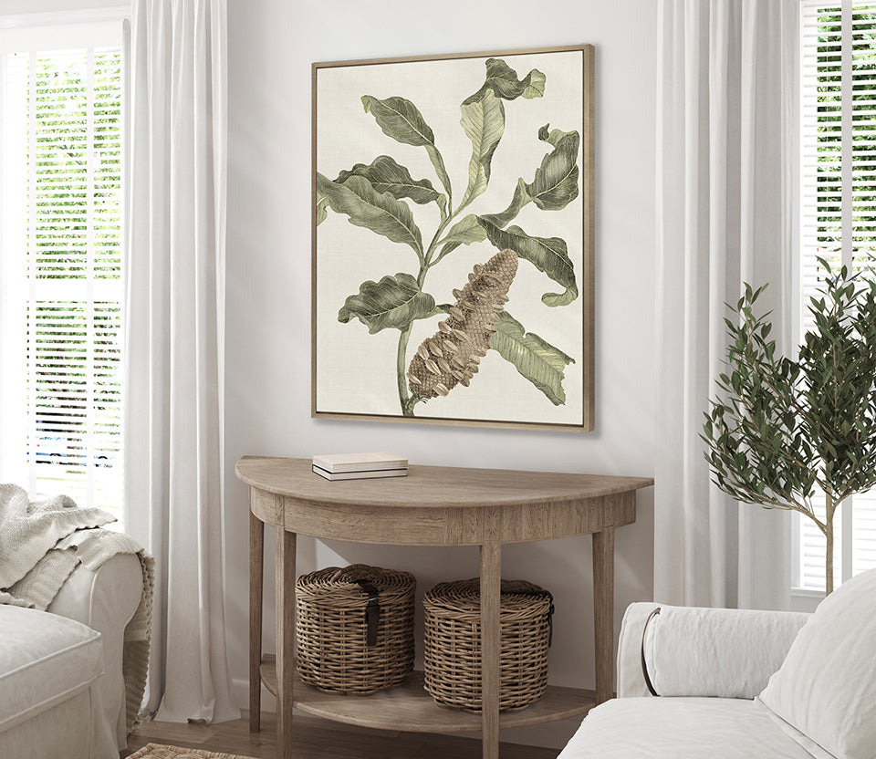 Denata Specimen (Canvas)
