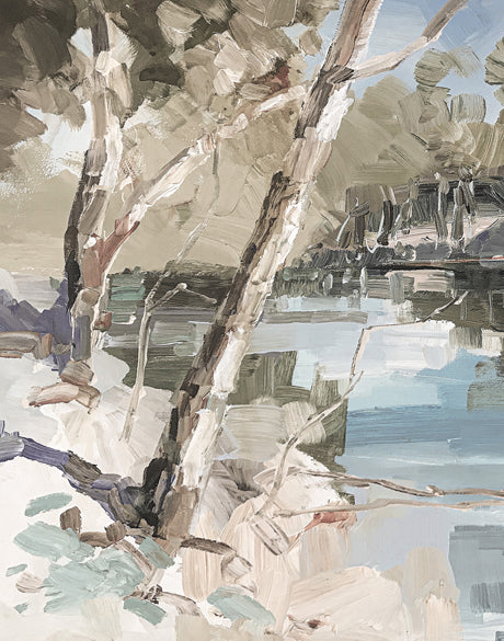 Cottonwood Bay X