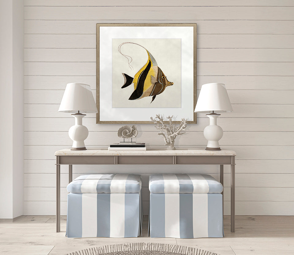 Colourful Fish IV