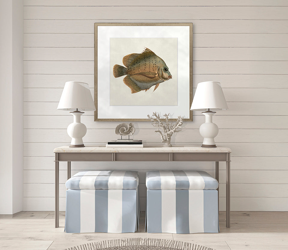 Colourful Fish V