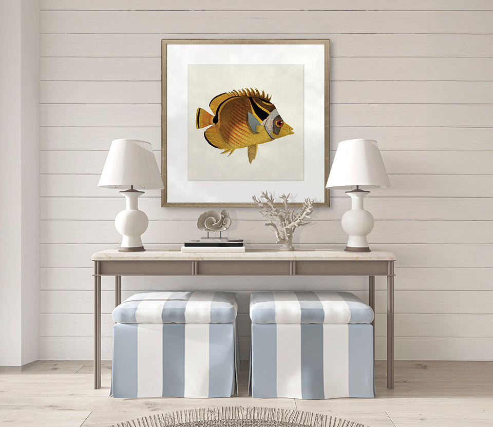 Colourful Fish VI