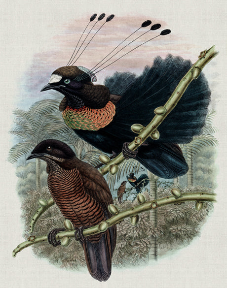 Birds in Paradise III