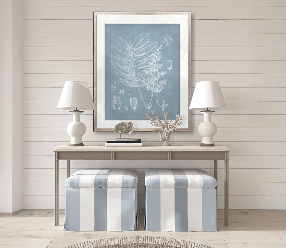 Botanical Study (Pale Blue) I