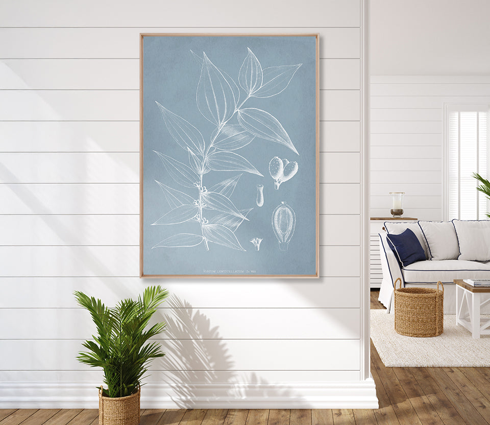 Botanical Study (Pale Blue) II (Canvas)