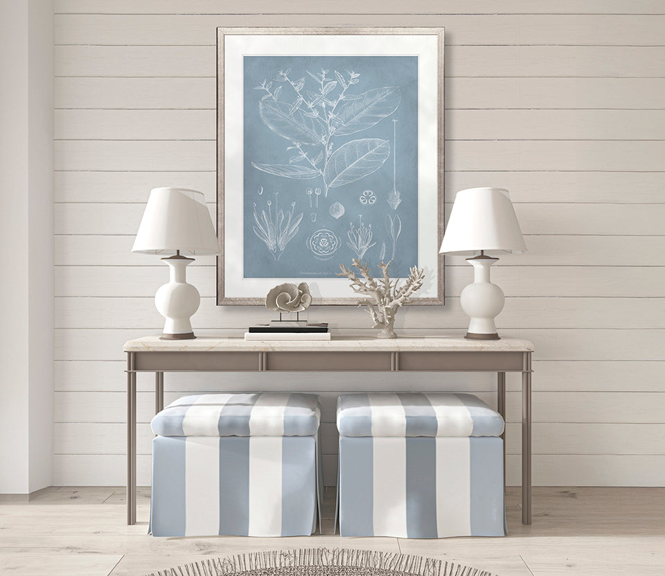 Botanical Study (Pale Blue) IV