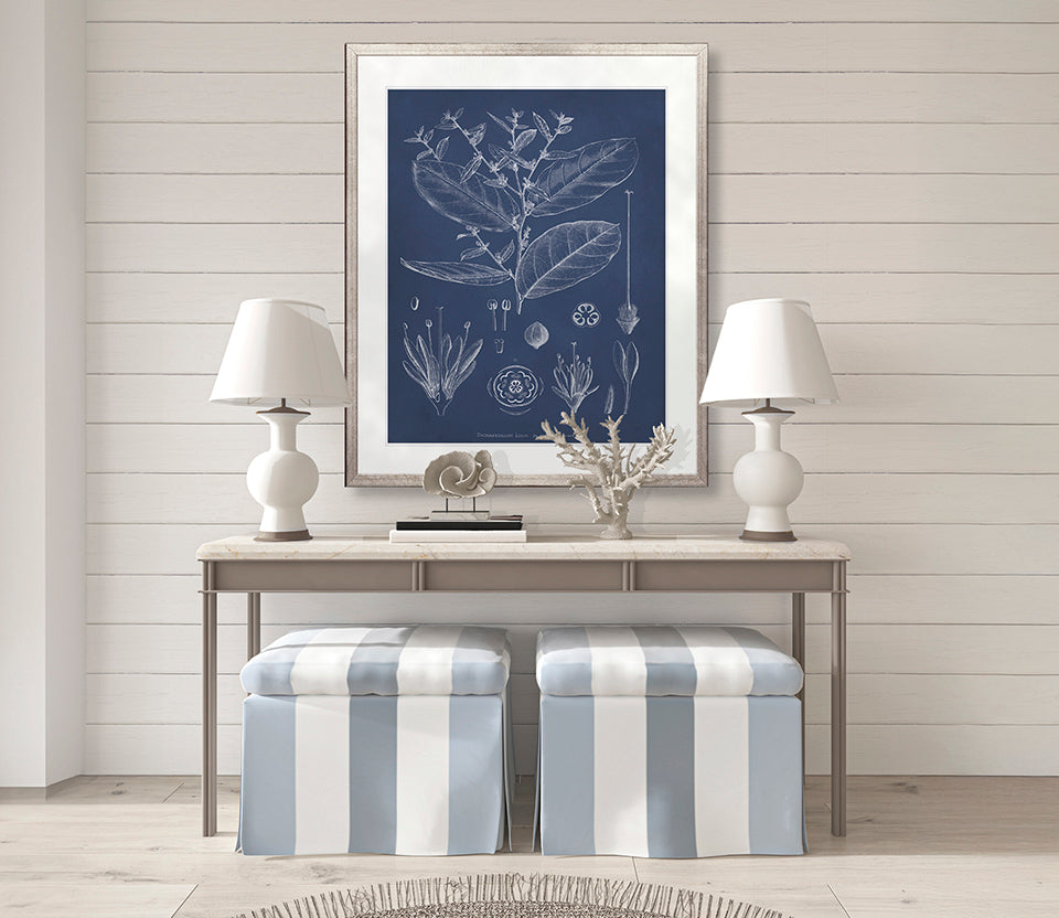 Botanical Study (Indigo) XI
