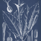 dela12_3