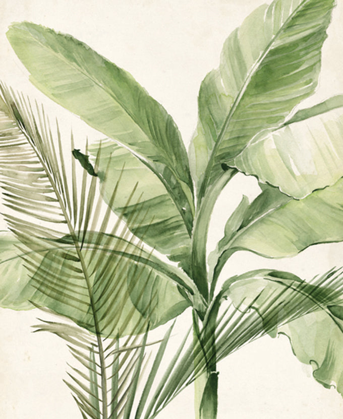 Exquisite Palm I