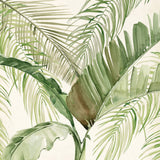 delp02_2
