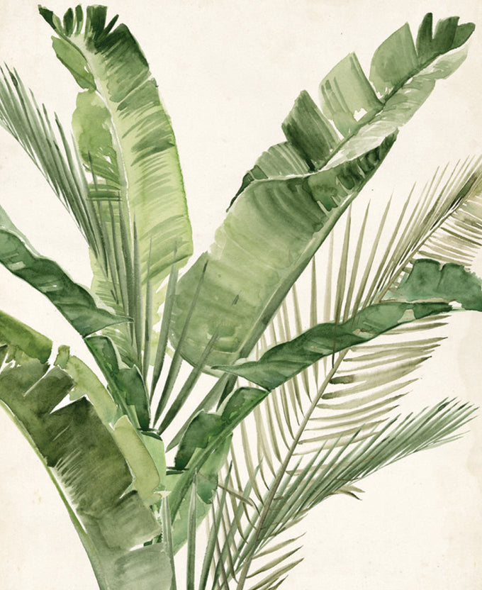 Exquisite Palm III