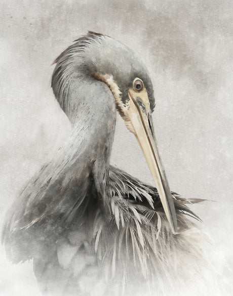 East Hampton Heron IV