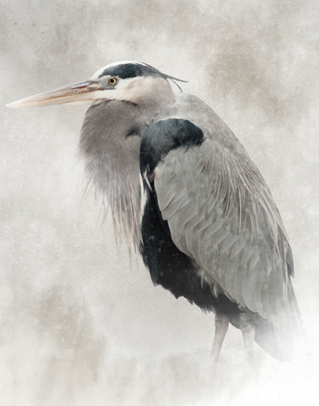East Hampton Heron VI